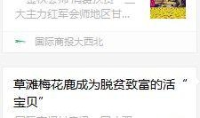 爆料新闻我的大西北,探寻丝绸之路的传奇故事
