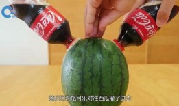 娱乐吃瓜教