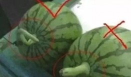 娱乐吃瓜教