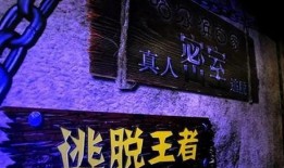 密室逃脱综艺在线观看,沉浸式解谜冒险，在线观看带你开启逃脱之旅