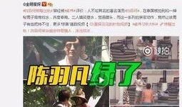爆料衡水出轨视频播放大全,揭秘不雅视频播放大全背后的真相